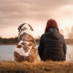 dog, love
