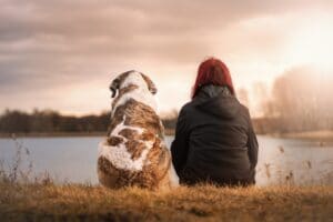 dog, love
