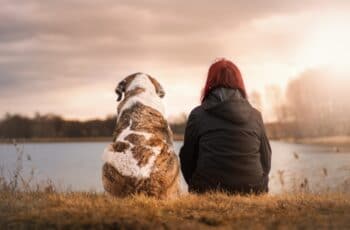 dog, love