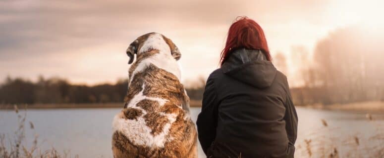 dog, love