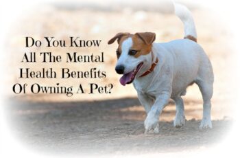dog mental health