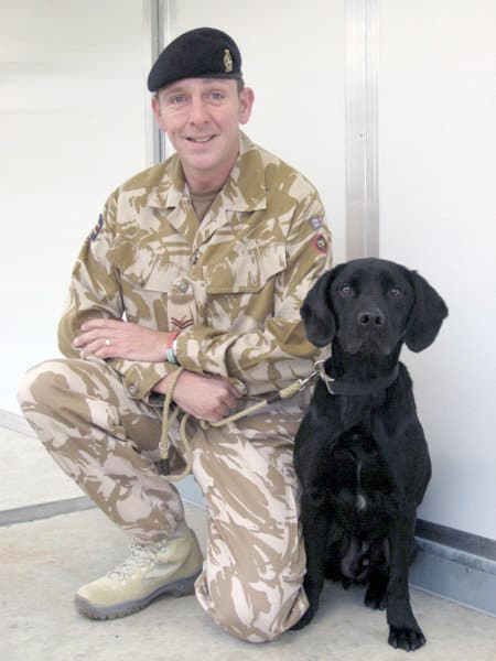 soldier,service dog
