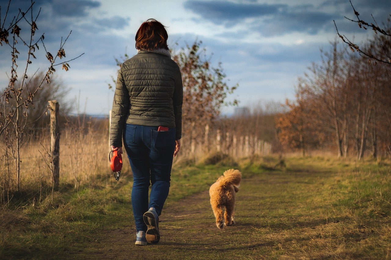 woman, dog, path