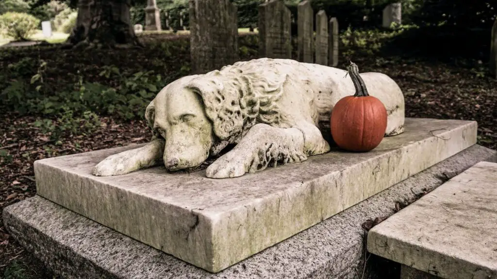 dog tombstone 