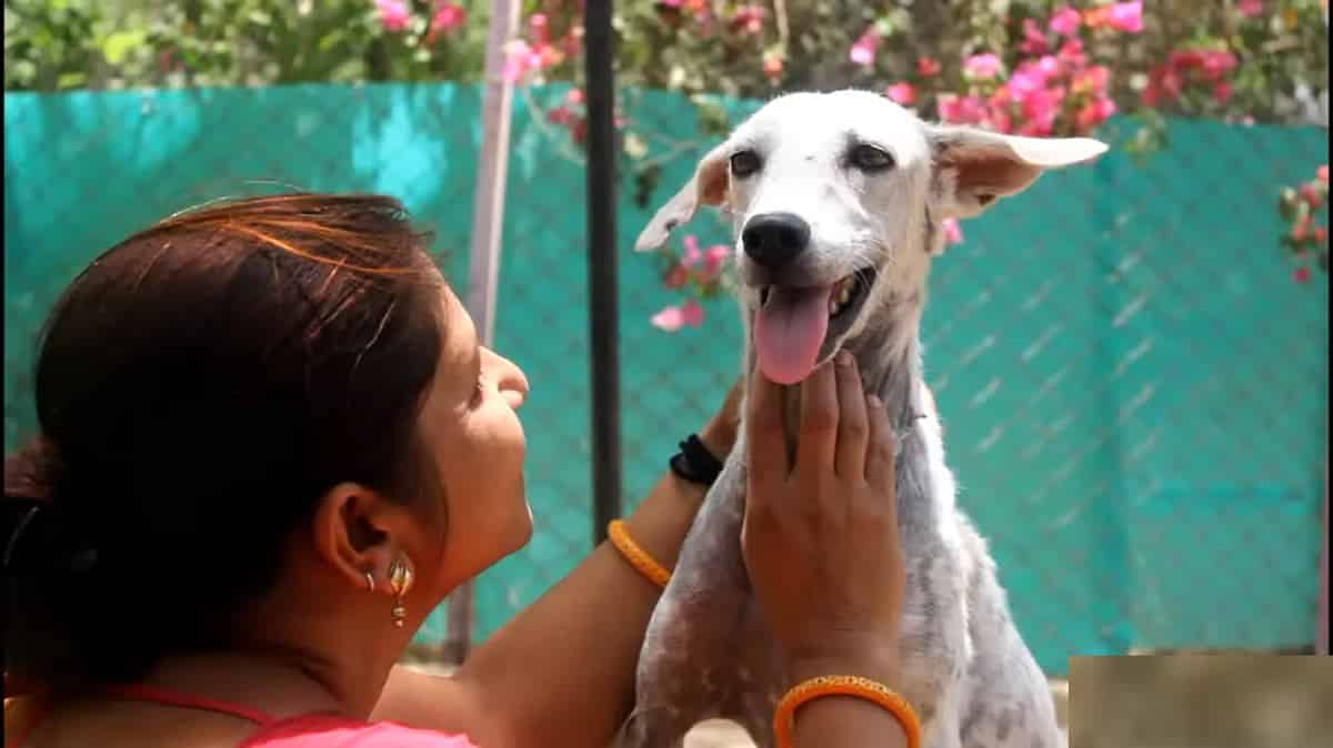 women playing with dog