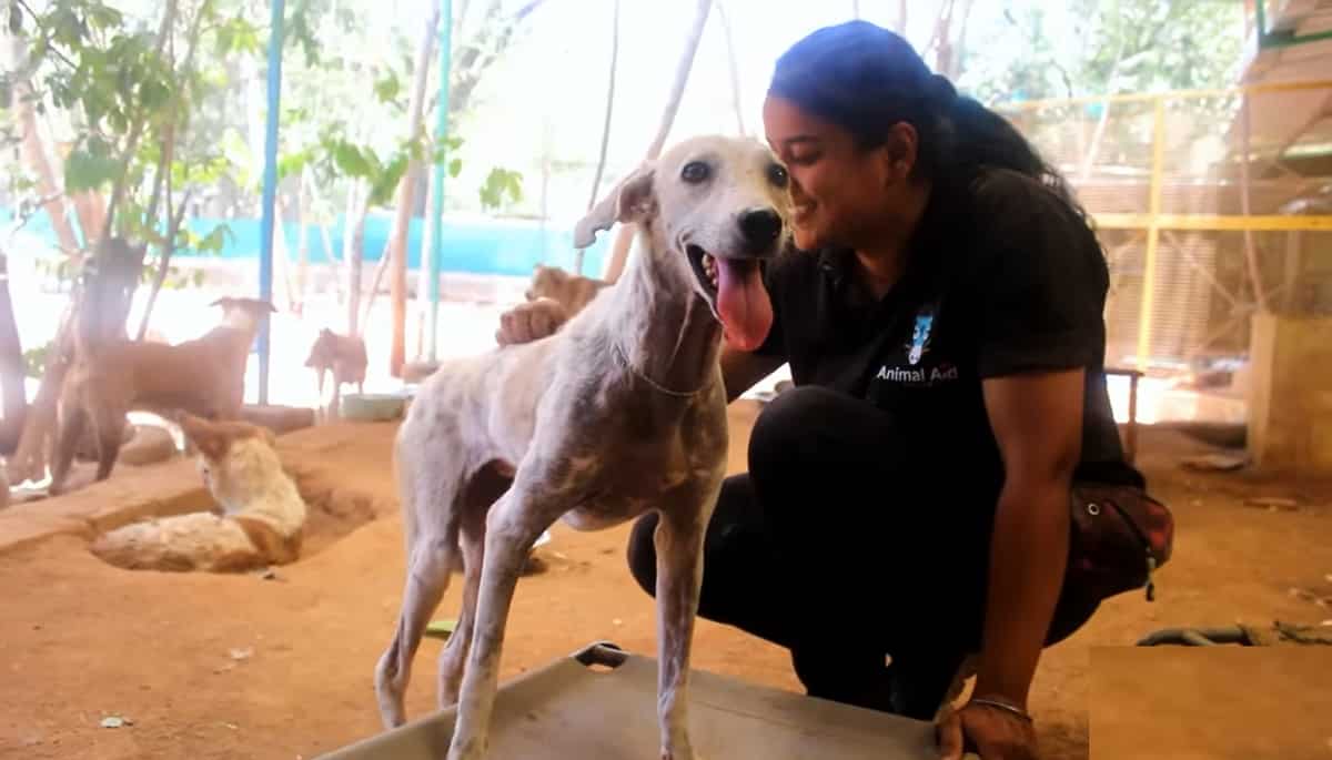 women petting dog 