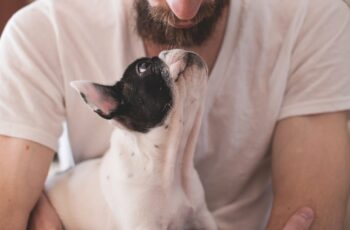 dog sitting with owner