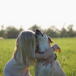 hugging dog