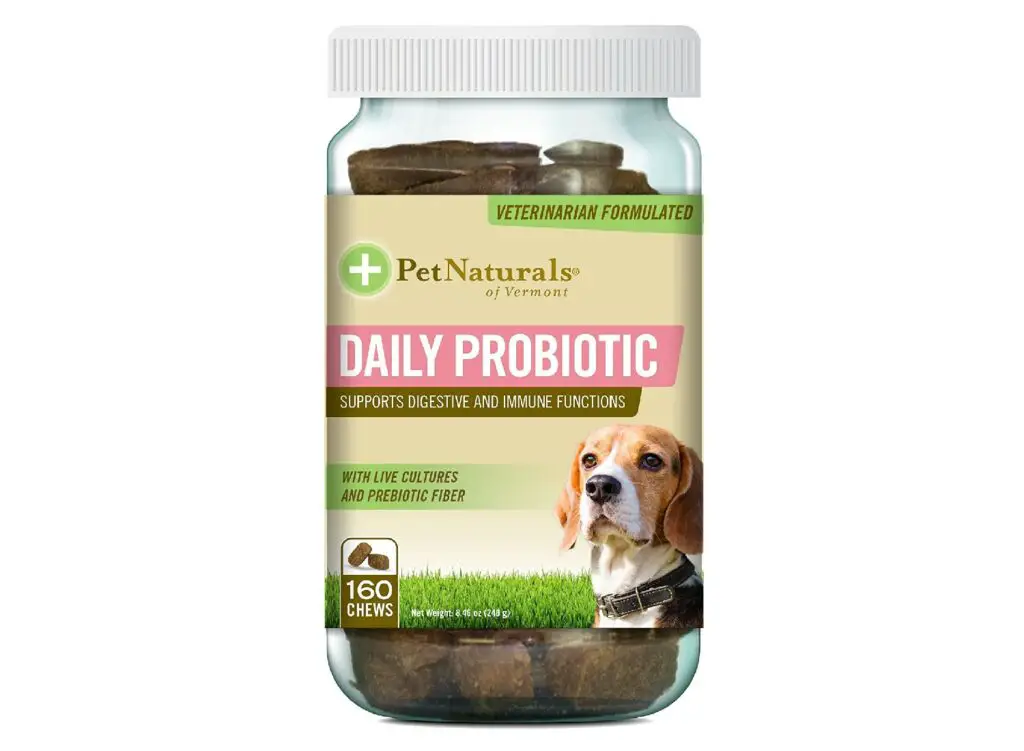 probiotic vitamin 