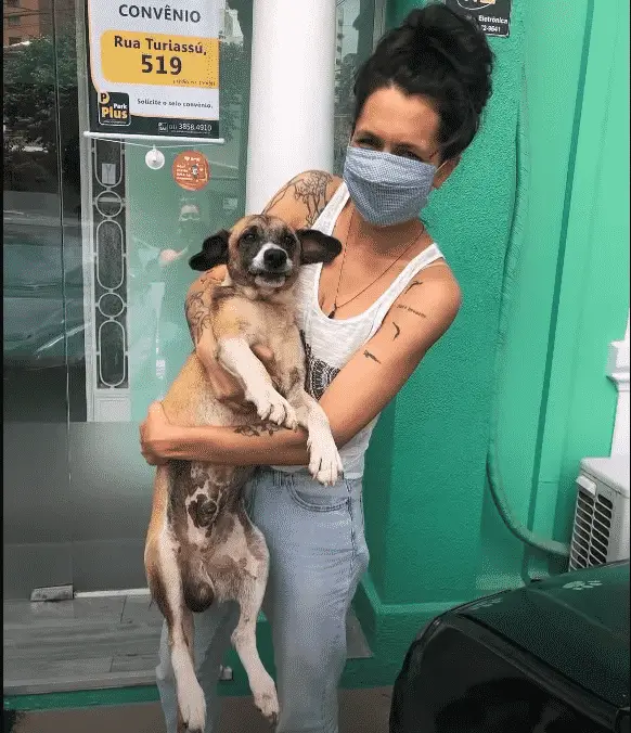 medical staff holding dog