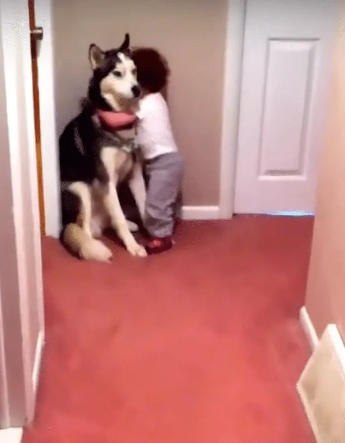 baby hugging dog