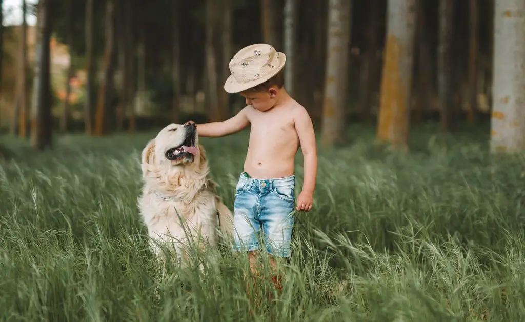 dog playing with child