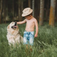 dog playing with child