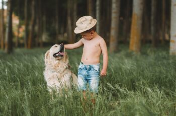 dog playing with child