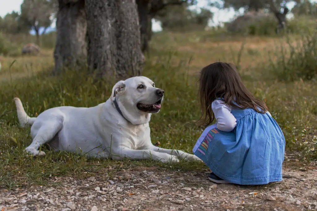 kid playing with child